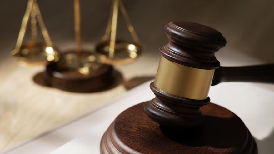 Главная картинка новости: Многодетной семье из Владимира выделили земельный участок без коммуникаций и дороги