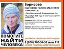Во Владимирской области пропала пожилая женщина, нуждающаяся в медицинской помощи