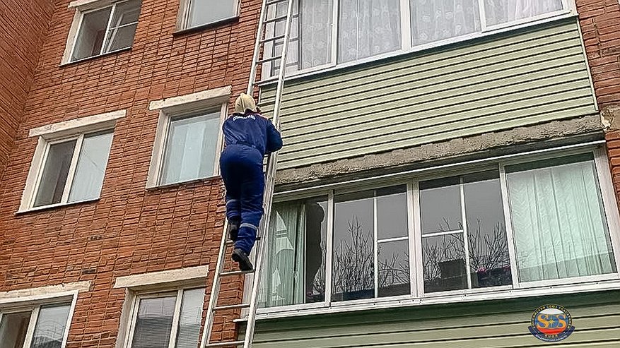 Главная картинка новости: Спасатели в Камешкове через балкон добрались до нуждавшейся в помощи пожилой женщины