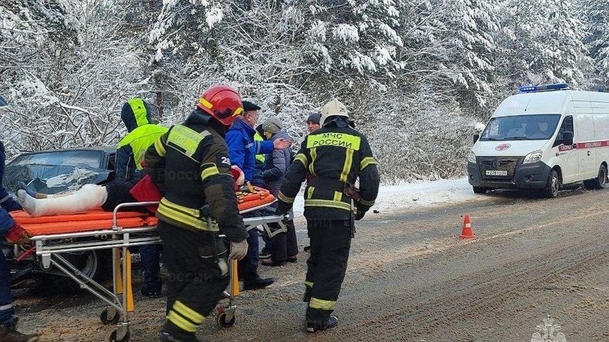 Главная картинка новости: В ДТП на трассе 17К-7 Владимирской области пострадали люди