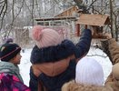 В голодный для пернатых период вязниковские школьники вместе кормят птиц