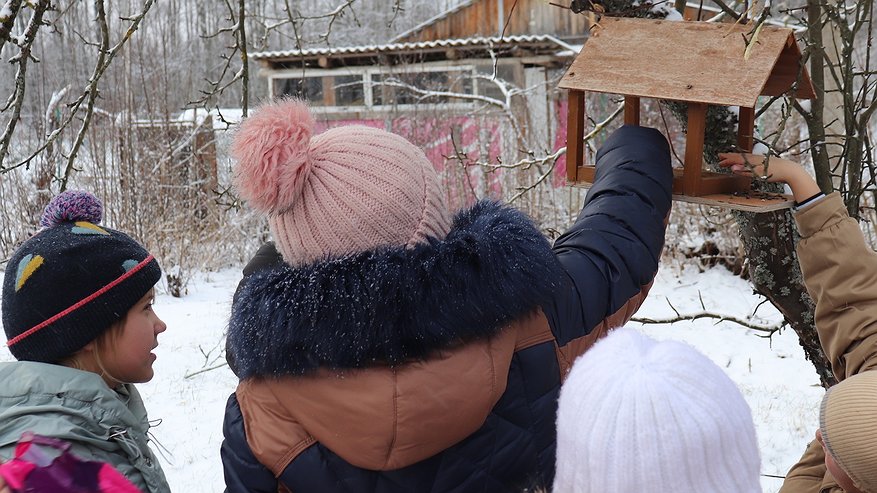 Главная картинка новости: В голодный для пернатых период вязниковские школьники вместе кормят птиц