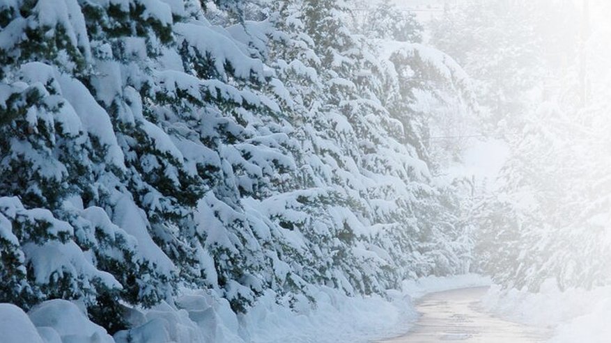 Главная картинка новости: Когда снегопад во Владимирской области достигнет максимума