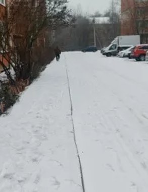 Управляющие компании не убирали снег во дворах Александрова