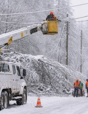 Во Владимирской области энергетики устраняют отключения света после сильного снегопада