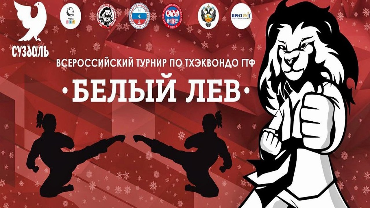 Главная картинка новости: Суздаль примет масштабный турнир по тхэквондо с участниками со всей России