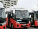 Во Владимирскую область доставят 28 новых автобусов