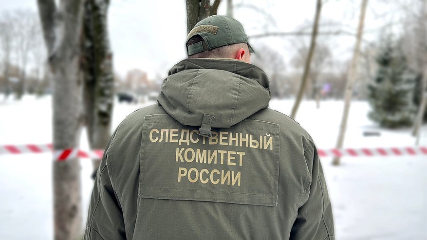 Главная картинка новости: Футбольные ворота обрушились на подростка в Александрове